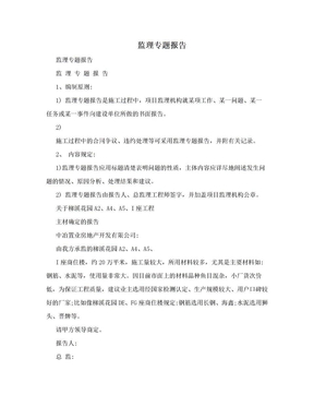 监理专题报告