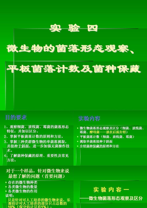 实验四  微生物的菌落形态观察、平板菌落计数及菌种保藏（张理珉）