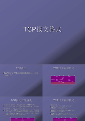 TCP报文格式