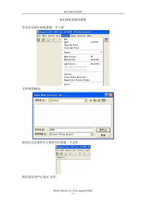 ICCAVR使用说明