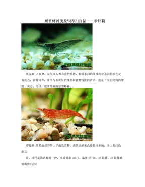 观赏虾种类及饲养扫盲帖——米虾篇