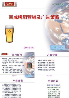 百威啤酒营销策略报告