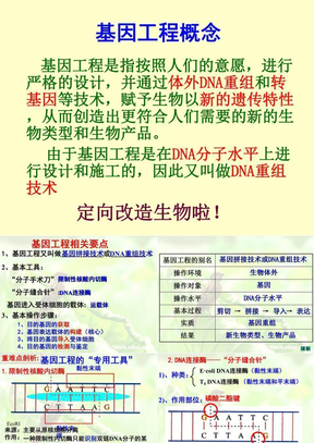 高中生物选修三专题复习