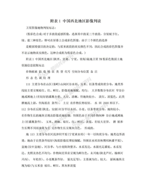 附表1  中国西北地区影像判读