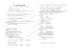 初一数学综合试题