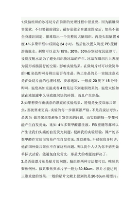 脑组织冰冻切片