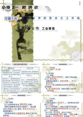 人民版2012高考历史专题复习：专题十四 走向世界的资本主义市场（第2节）