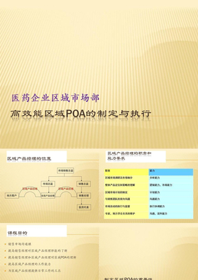 医药区域产品经理项目与行动计划制定POA