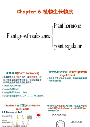 植物生理学06植物激素