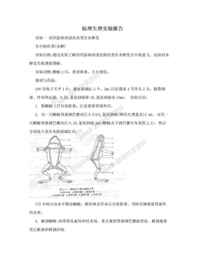 病理生理实验报告