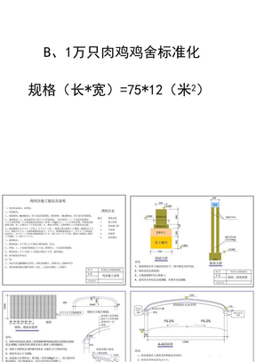 1万只肉鸡鸡舍标准化