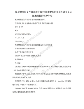 嗅成鞘细胞条件培养基对PC12细胞促分化作用及对分化后细胞损伤的保护作用