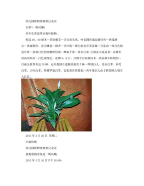 幼儿园植物角观察记录表(一）