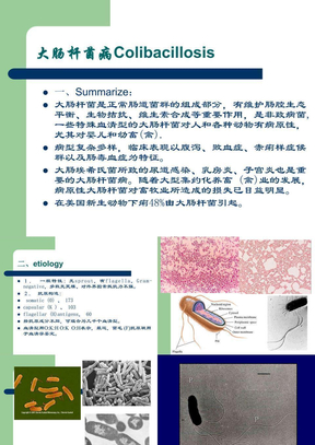 大肠杆菌病Colibacillosis