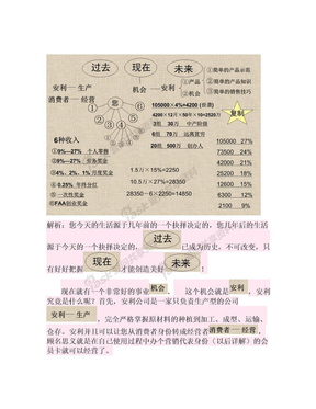 2010年安利奖金分配制度PPT制度文字解析