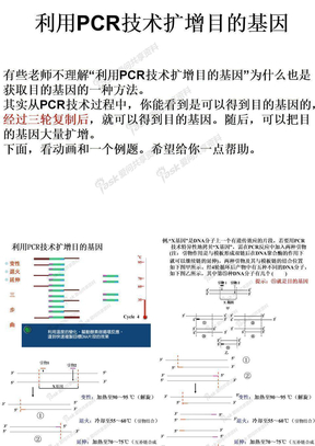 利用PCR技术（获取并）扩增目的基因