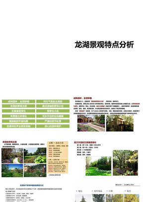 2010龙湖景观特点分析50页
