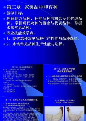 家禽生产学讲义,家禽品种2007.05