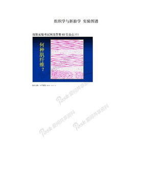 组织学与胚胎学 实验图谱