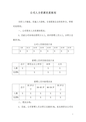 XX公司人力资源发展规划