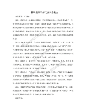 挂职锻炼干部代表表态发言