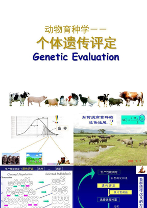 动物育种学－第六章－个体遗传评定之选择指数法1