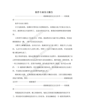 软件专业实习报告