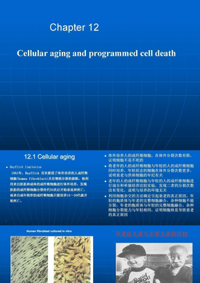 第十二章 细胞的程序化死亡