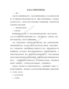 宝洁公司网络营销策划