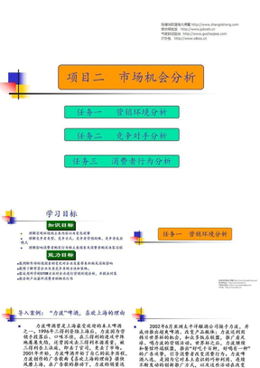 市场营销-市场分析