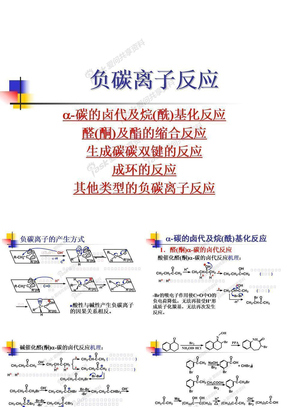 有机化学-负碳离子反应