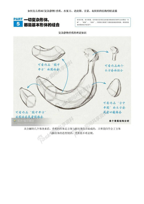 如何怎么样画(复杂静物)香蕉、水果刀、老虎钳、青菜、布娃娃的结构明暗素描（超经典）