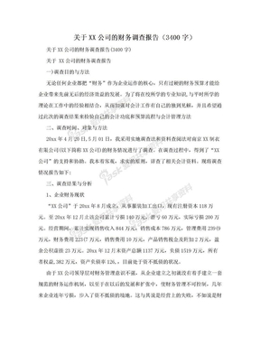 关于XX公司的财务调查报告（3400字）