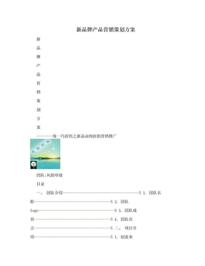 新品牌产品营销策划方案