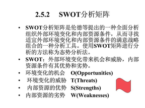 SWOT分析矩阵