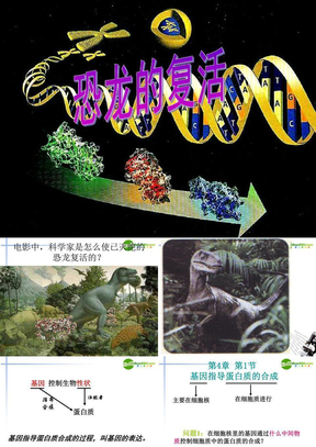 高中生物必修二第四章第一节基因指导蛋白质的合成