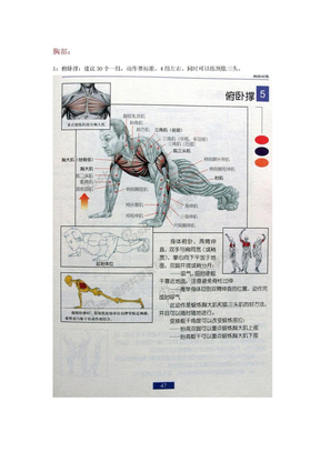 男女士健身方案