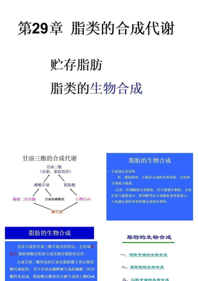 脂类的合成代谢