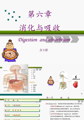 第6章 消化与吸收