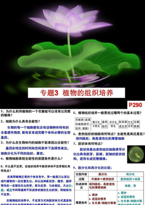 [史上最强生物课件]专题三_植物组织培养技术