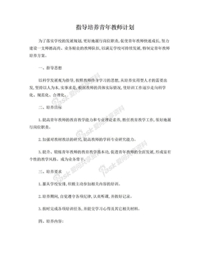 指导培养青年教师计划