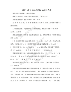 核仁小分子RNA的结构_功能与合成