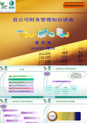 2009年县公司财务管理知识讲座(20090526)