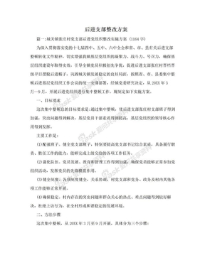 后进支部整改方案