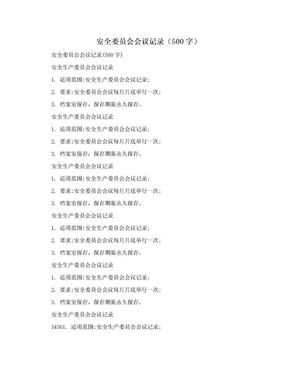 安全委员会会议记录（500字）