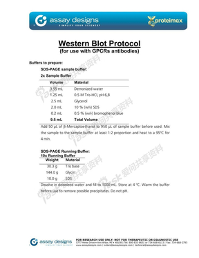 protocol-GPCR-WB