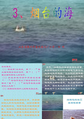 3、烟台的海