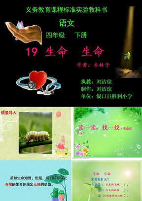 19  生命  生命1