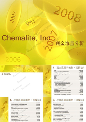 Chemalite现金流量分析