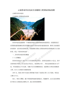 云南鲁布革水电站引水隧洞工程国际招标案例